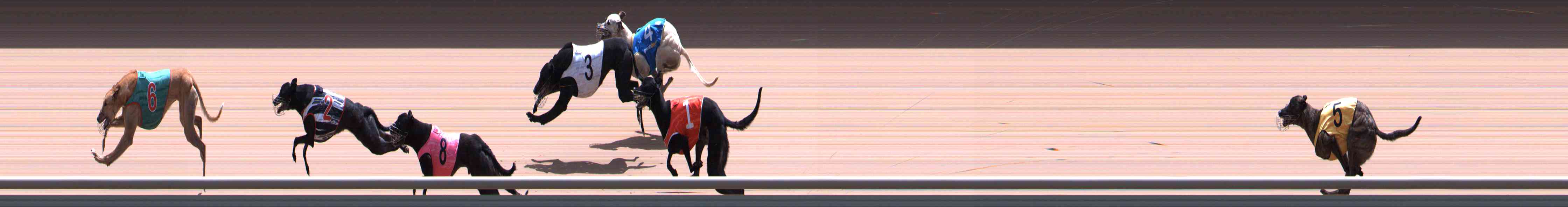 Race result finish photo